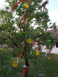 Suri család fája